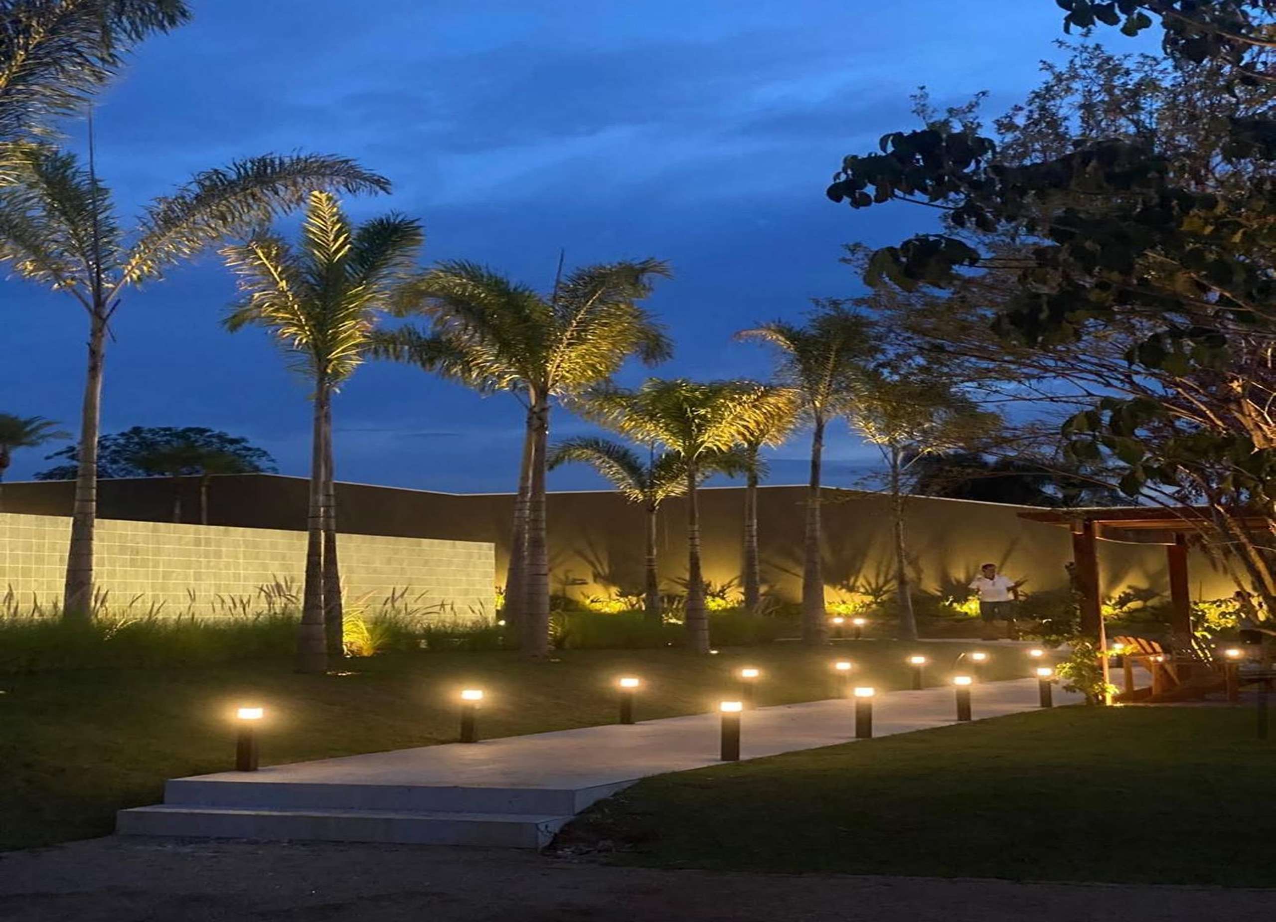 MS-Zappa-Sorocaba-Caminho-de-entrada-com-iluminacao-noturna-palmeiras-e-paisagismo-sofisticado-evidenciando-arquite-2
