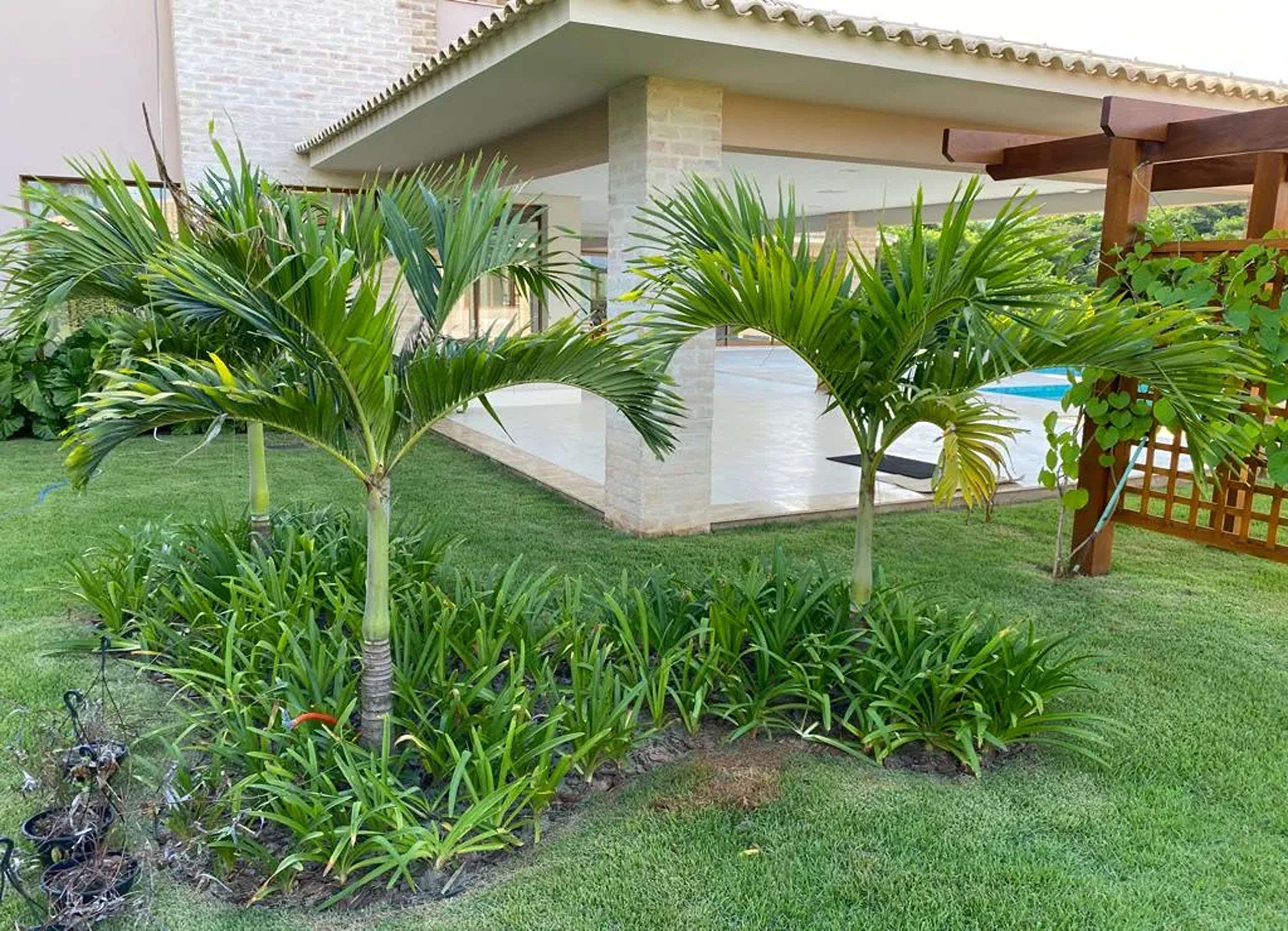 MS-Zappa-Sorocaba-Entrada-nobre-detalhes-em-pedra-e-jardim-tropical-imponente._6_11zon_6_11zon