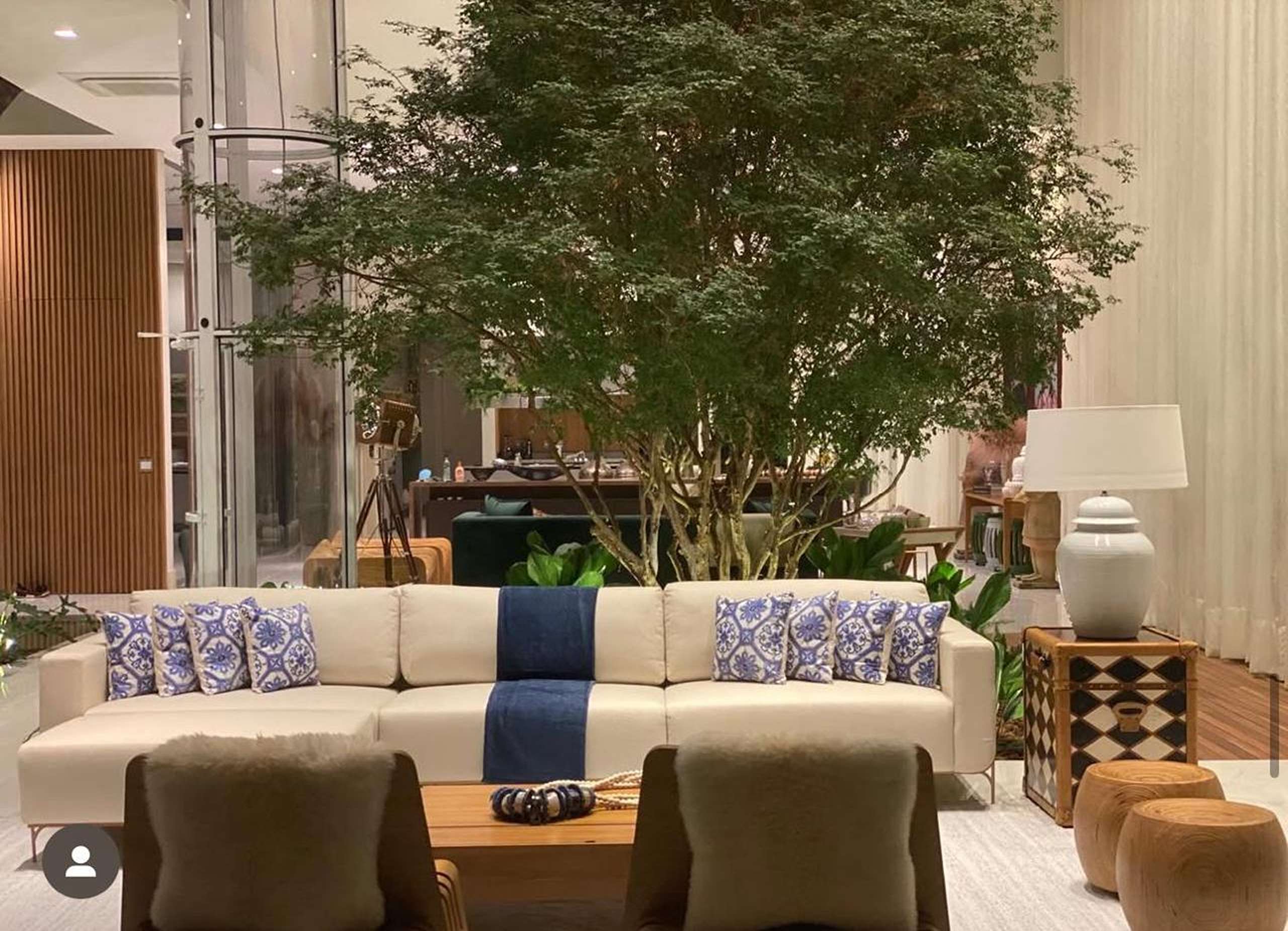 MS-Zappa-Sorocaba-Sala-de-estar-principal-sofa-claro-arvore-natural-interna-e-decoracao-personalizada-de-alto-padra-1